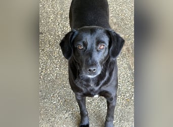 BONNIE sucht ihre Familie