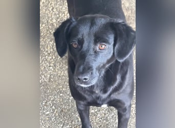 BONNIE sucht ihre Familie