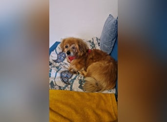 Halb blinder Schatz freut sich auf Deinen Besuch