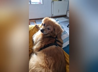 Halb blinder Schatz freut sich auf Deinen Besuch