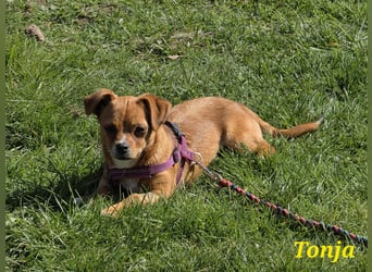 Tonja freut sich auf Deinen Besuch