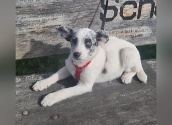 Hübsche Luna freut sich auf Deinen Besuch