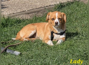 Ladie freut sich auf Deinen Besuch