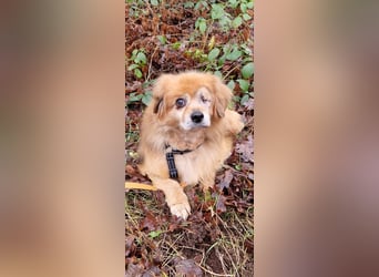 Halb blinder Schatz freut sich auf Deinen Besuch