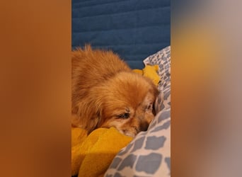 Halb blinder Schatz freut sich auf Deinen Besuch