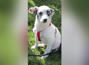 Hübsche Luna freut sich auf Deinen Besuch