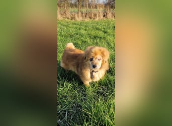 Halb blinder Schatz freut sich auf Deinen Besuch