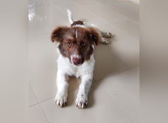 Melody freut sich auf Deinen Besuch