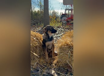 2 süße Mädels suchen ihr Glück