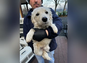 Hübscher Schatz sucht sein Glück