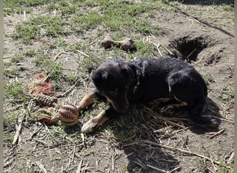Kleine Lotti freut sich auf Deinen Besuch