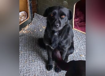 Zauberhafte Paula wartet schon so lange