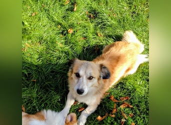 Twister freut sich auf Deinen Besuch