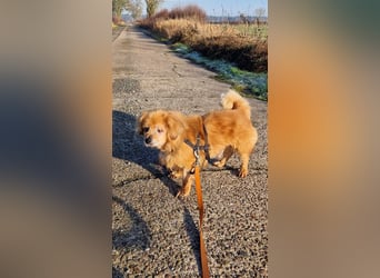 Halb blinder Schatz freut sich auf Deinen Besuch