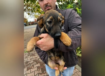 2 süße Mädels suchen ihr Glück