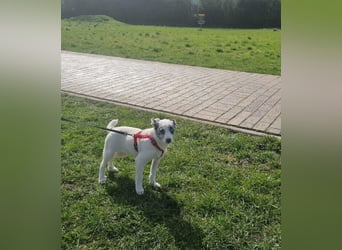 Hübsche Luna freut sich auf Deinen Besuch