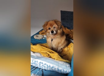 Halb blinder Schatz freut sich auf Deinen Besuch