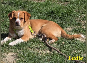 Ladie freut sich auf Deinen Besuch