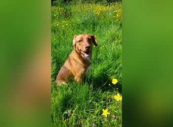 Rocco freut sich auf Deinen Besuch