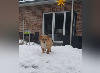 Kleine Livvy freut sich auf Deinen Besuch