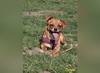 Tonja freut sich auf Deinen Besuch