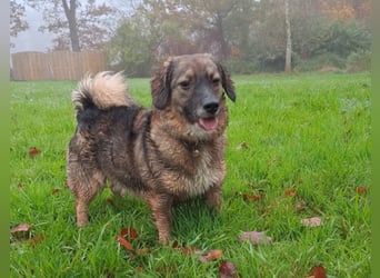 Funny freut sich auf Deinen Besuch