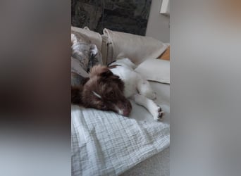 Melody freut sich auf Deinen Besuch