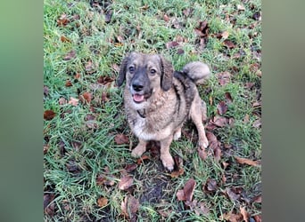 Funny freut sich auf Deinen Besuch