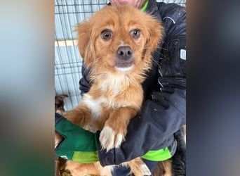 Lilo sucht Ihr Glück