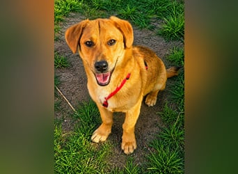 Balou freut sich auf Deinen Besuch