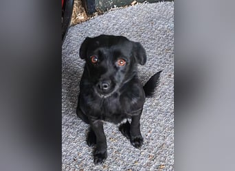 Zauberhafte Paula wartet schon so lange