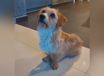 Kleine Livvy freut sich auf Deinen Besuch