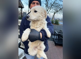 Hübscher Schatz sucht sein Glück