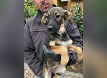 2 süße Mädels suchen ihr Glück