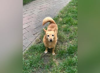 Omi Nanny hofft auf ein Zuhause