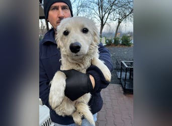 Hübscher Schatz sucht sein Glück