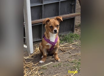 Tonja freut sich auf Deinen Besuch