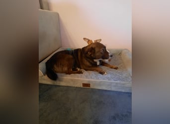 Mary freut sich auf Deinen Besuch