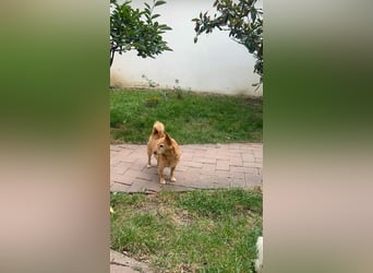 Omi Nanny hofft auf ein Zuhause