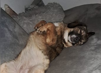 Funny freut sich auf Deinen Besuch