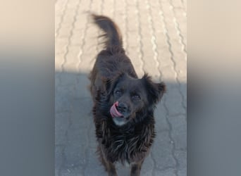 Kleiner Schatz sucht großes Glück