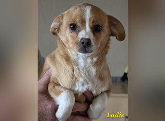 Ladie freut sich auf Deinen Besuch