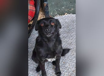 Zauberhafte Paula wartet schon so lange