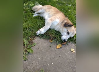 Twister freut sich auf Deinen Besuch