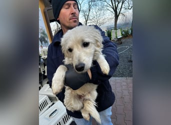 Hübscher Schatz sucht sein Glück