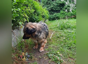 Finja auf Pflegestelle