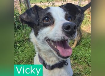 Vicky - kleine quirlige Lady sucht Anschluss