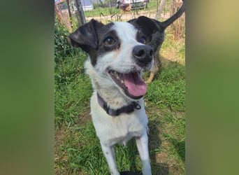 Vicky - kleine quirlige Lady sucht Anschluss