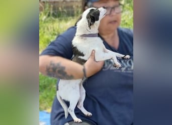 Vicky - kleine quirlige Lady sucht Anschluss