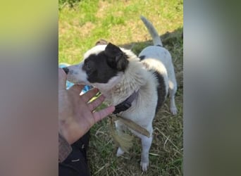 Vicky - kleine quirlige Lady sucht Anschluss